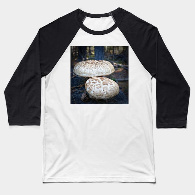 Mushrooms Baseball T-Shirt by Rebekah Slick